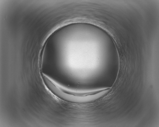 X0000082981527200702152344