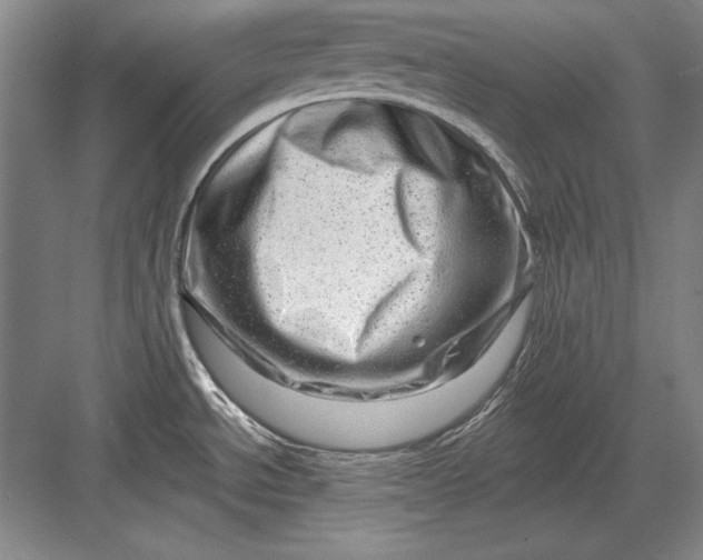 X0000082981534200702152344