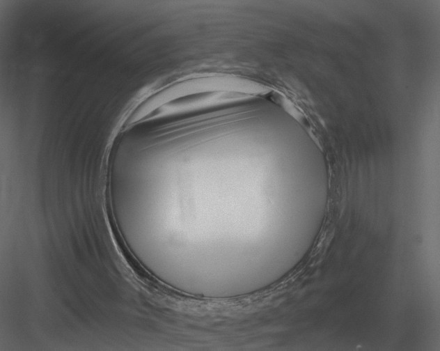 X0000082980003200702230046