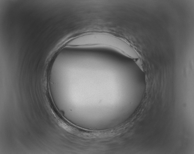 X0000082980005200702230046