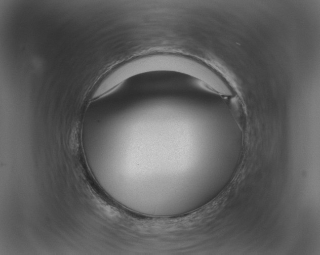 X0000082980009200702230046