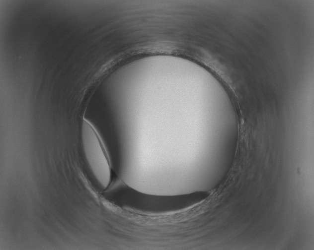 X0000082980013200702230045