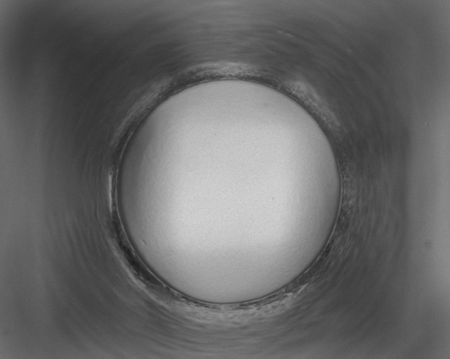X0000082980014200702230045