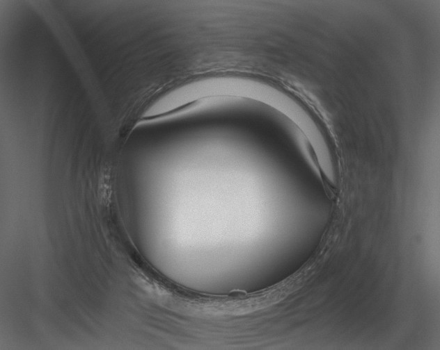 X0000082980017200702230045