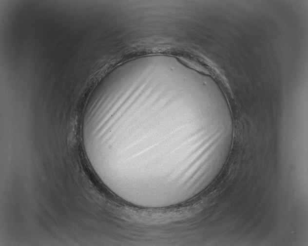 X0000082980018200702230045