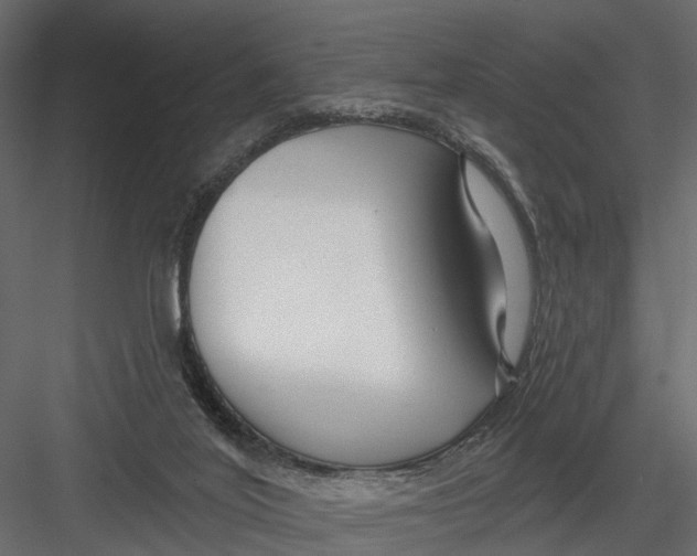X0000082980020200702230045