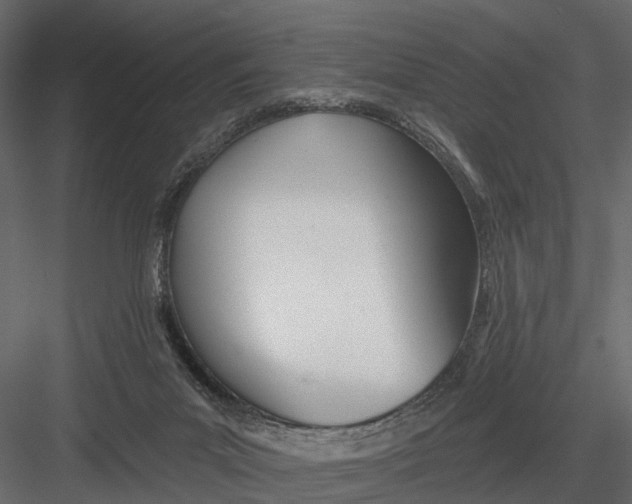 X0000082980023200702230045
