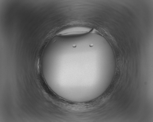X0000082980024200702230045