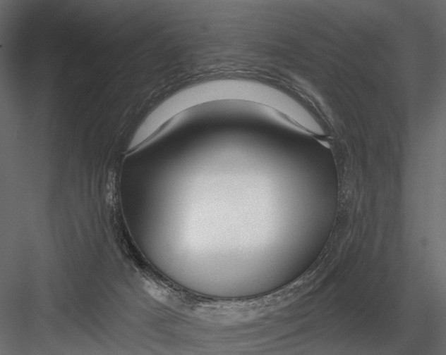 X0000082980025200702230045