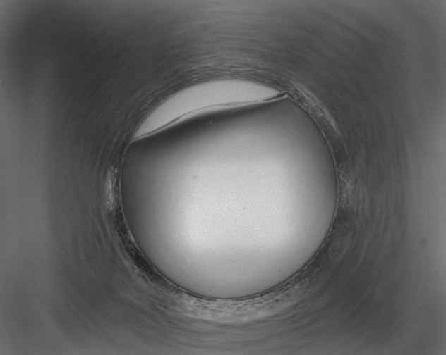 X0000082980026200702230045
