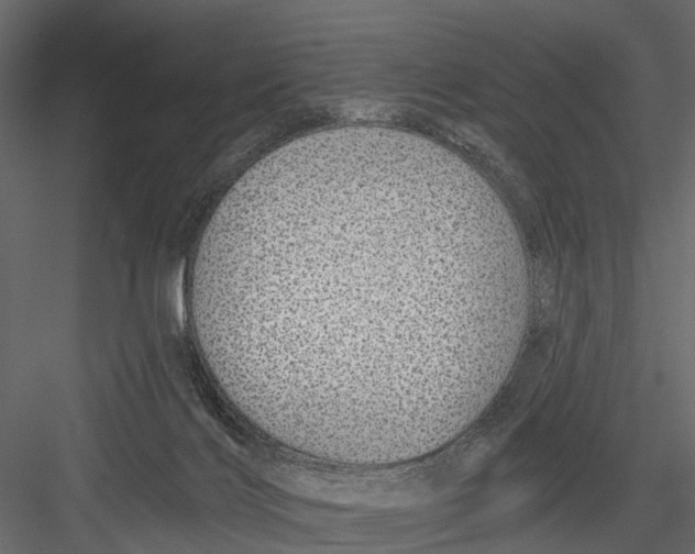 X0000082980028200702230045