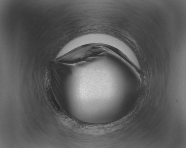 X0000082980029200702230045