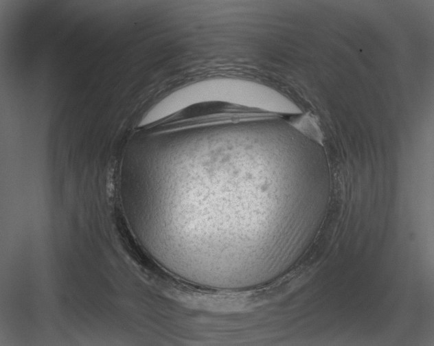 X0000082980032200702230045