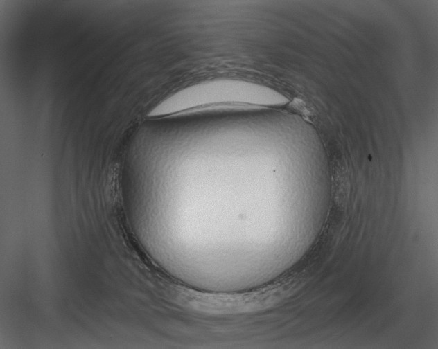 X0000082980034200702230045