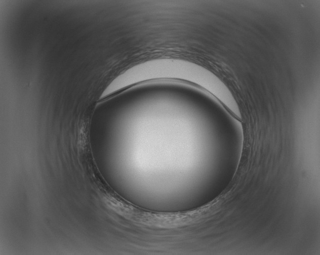 X0000082980037200702230045