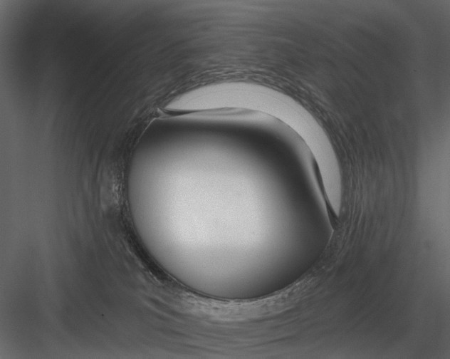 X0000082980039200702230045