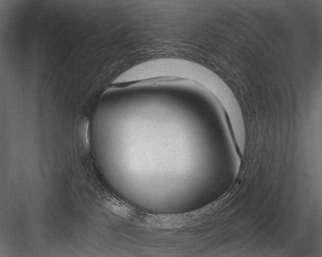 X0000082980041200702230045