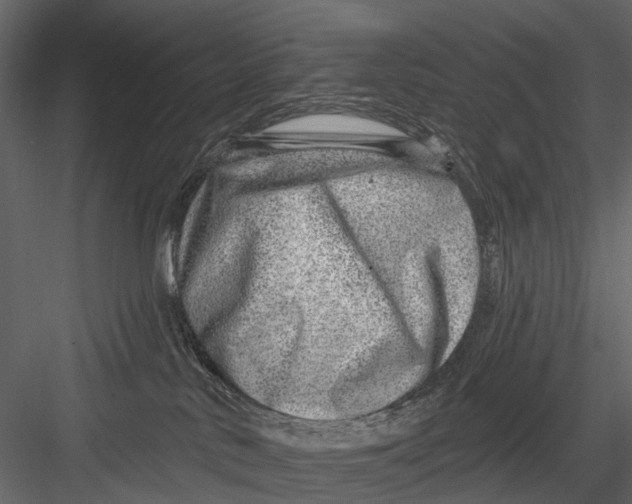 X0000082980042200702230045