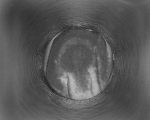 X0000082980043200702230045