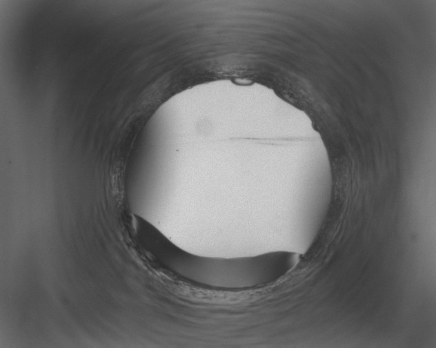 X0000082980044200702230045