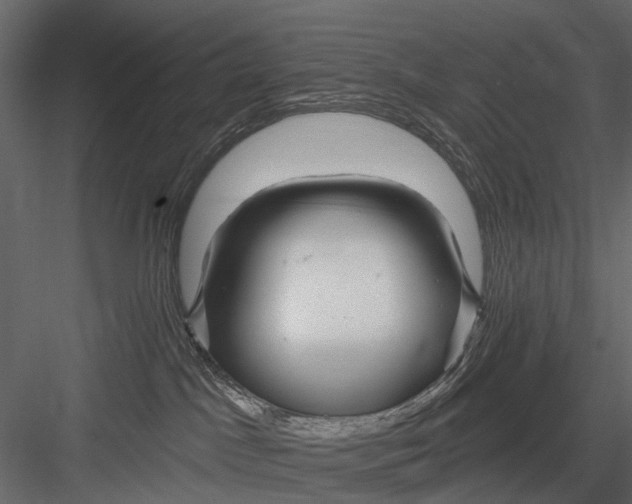 X0000082980045200702230045