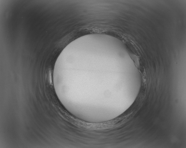 X0000082980046200702230045