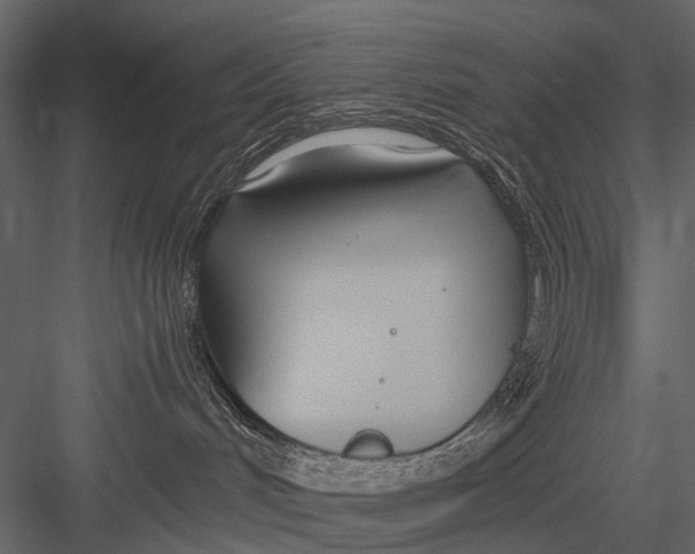 X0000082980048200702230045