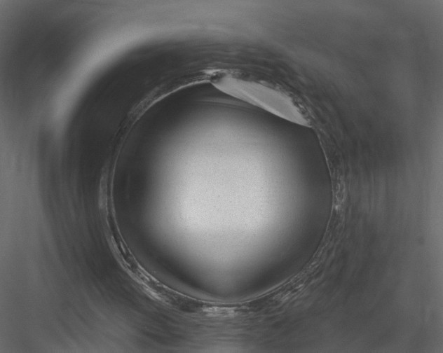 X0000082980052200702230044
