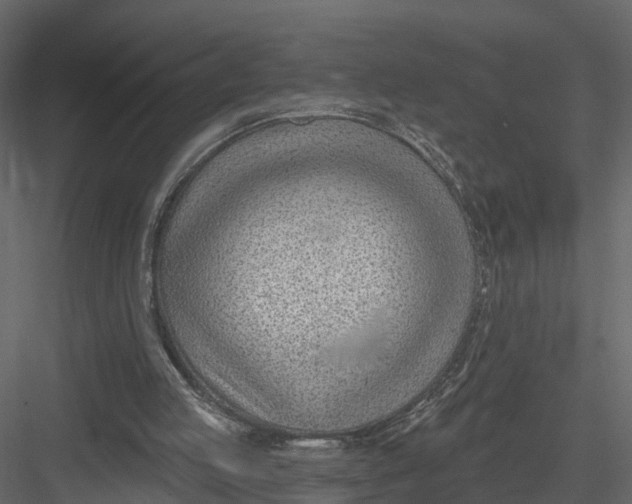 X0000082980053200702230044