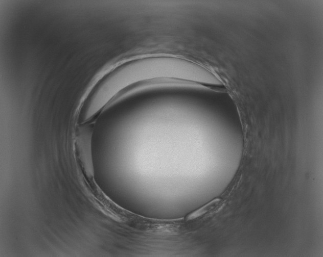 X0000082980056200702230044
