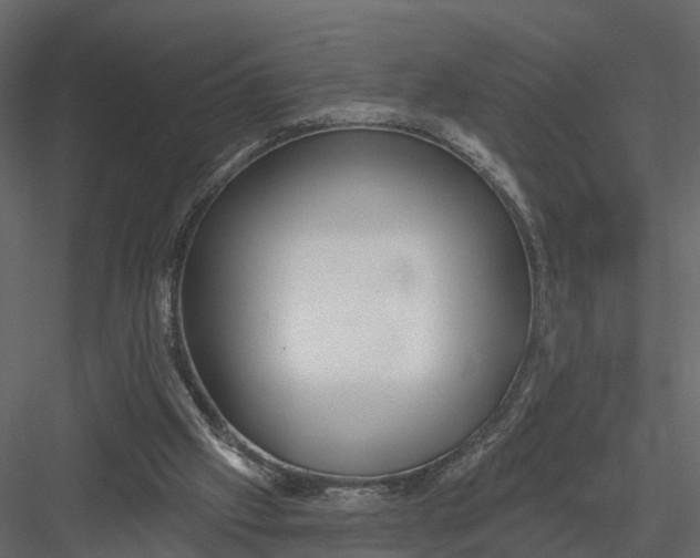 X0000082980057200702230044