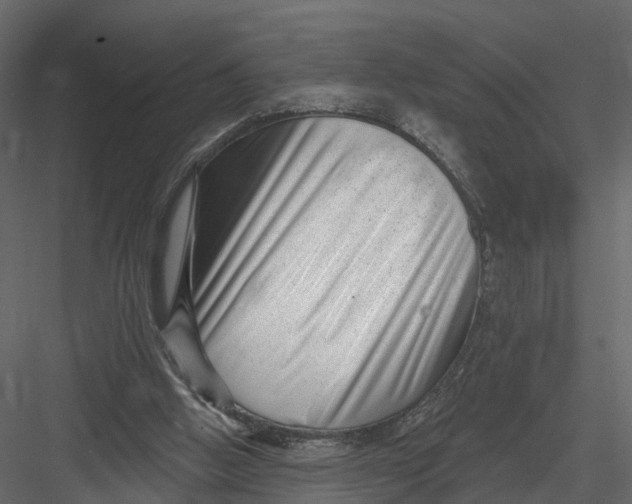 X0000082980058200702230044