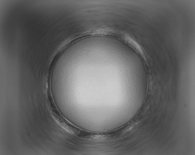 X0000082980059200702230044