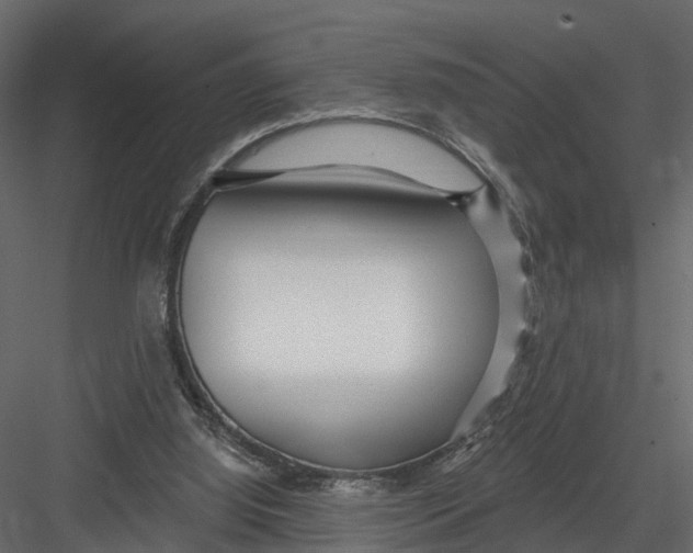X0000082980060200702230044