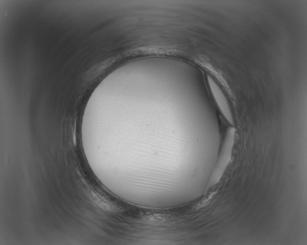 X0000082980062200702230044