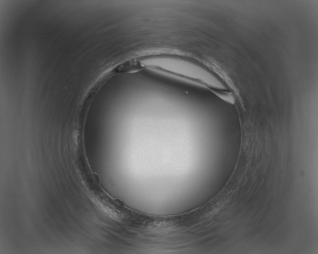 X0000082980063200702230044