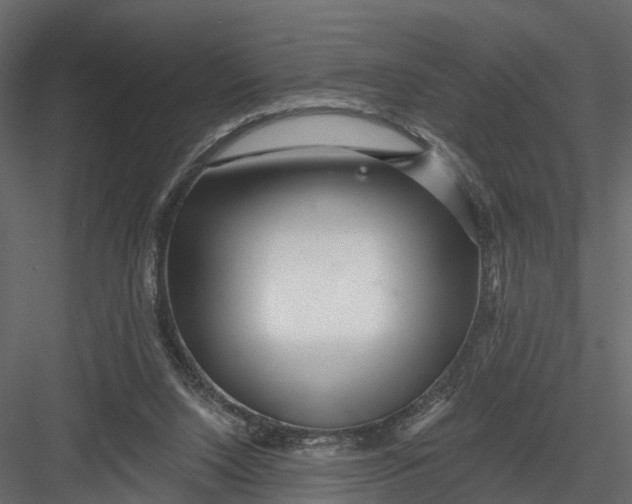 X0000082980064200702230044