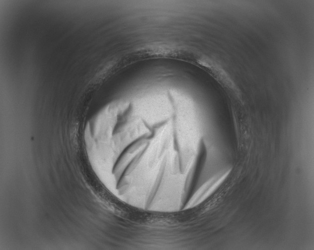 X0000082980066200702230044