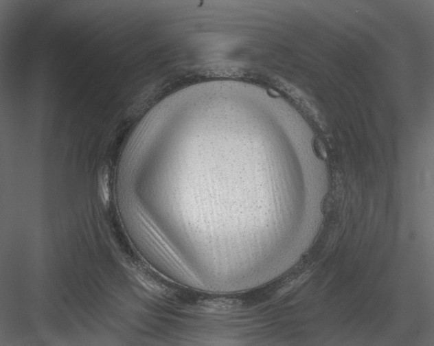 X0000082980069200702230044