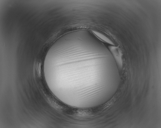 X0000082980070200702230044