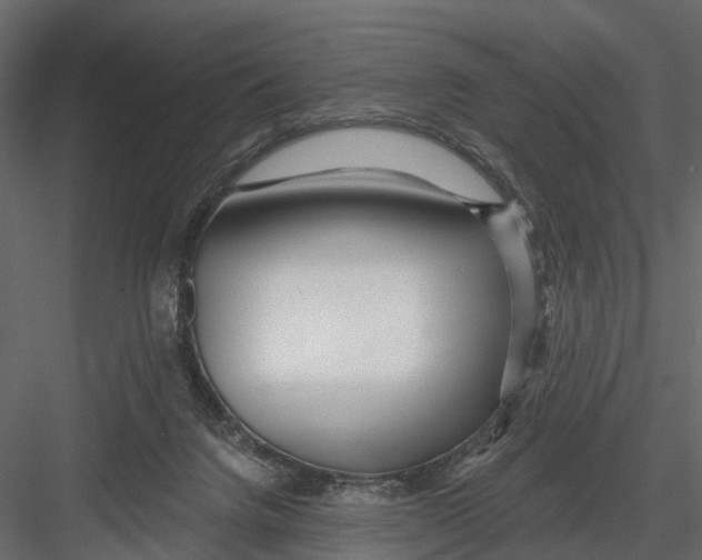 X0000082980072200702230044