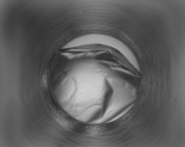 X0000082980074200702230044
