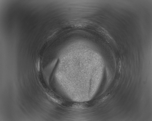 X0000082980076200702230045