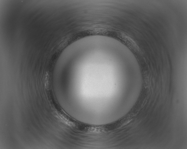 X0000082980077200702230045