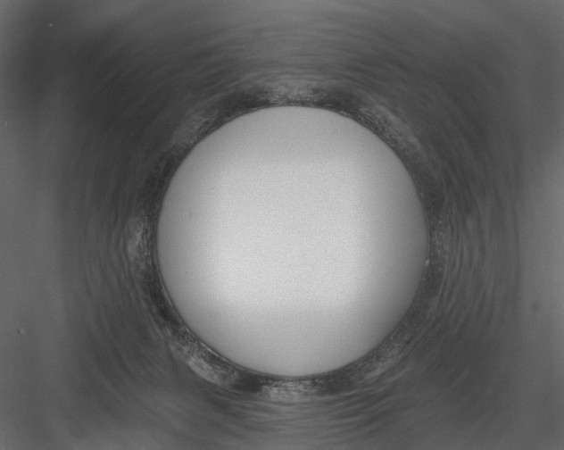 X0000082980079200702230045