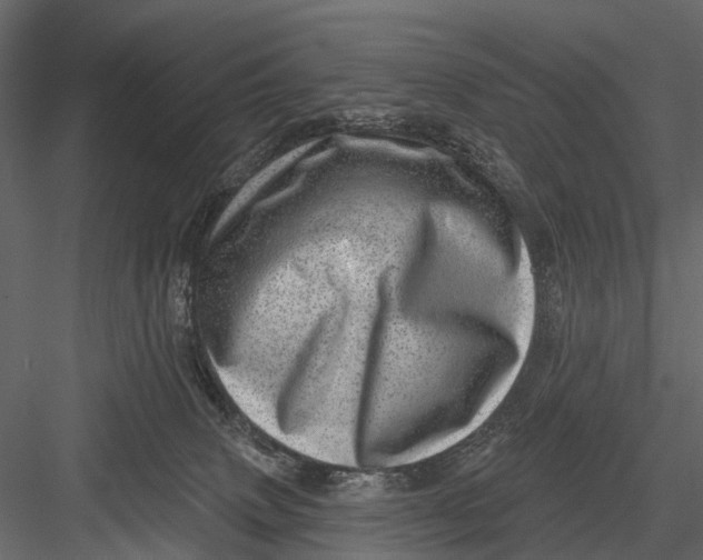 X0000082980083200702230045