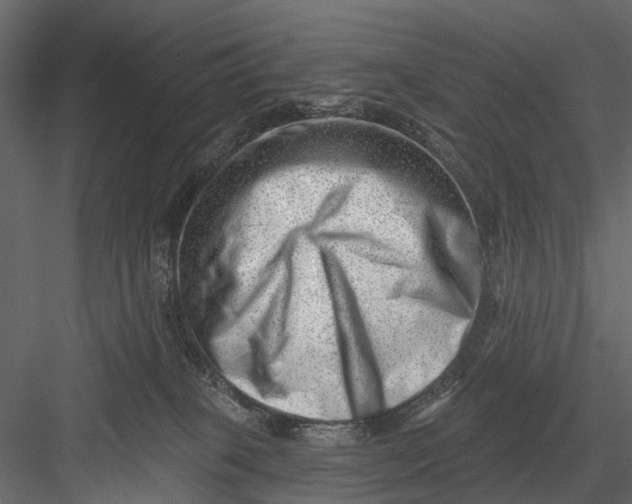 X0000082980085200702230045