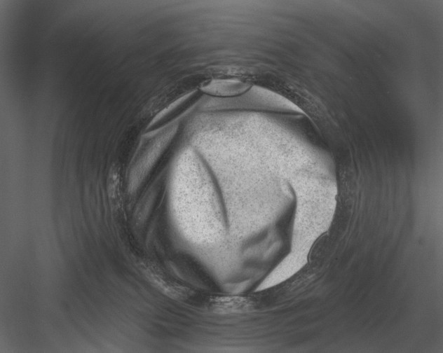 X0000082980087200702230045