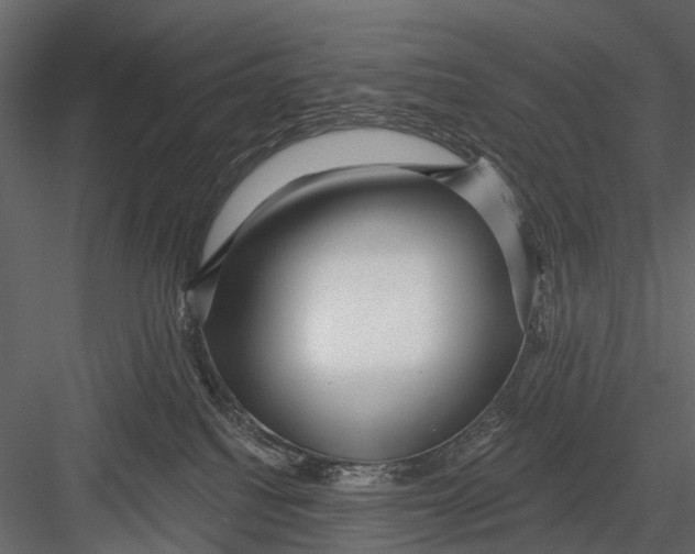 X0000082980088200702230045