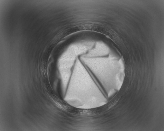 X0000082980091200702230045